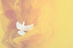 Quelle: canva.com