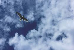 Quelle: stefan-gessert@unsplash.com