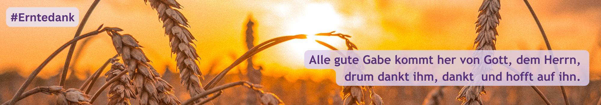 Quelle: Simone Heidbrink / Canva