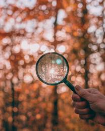 Quelle: Sam N @unsplash.com