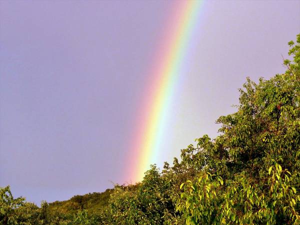 Quelle: Schuldekanat Südliche Kurpfalz